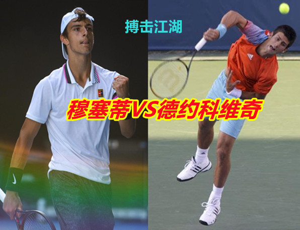 多猛龙对阵 多猛龙对阵