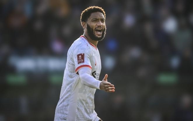 开展也为他 开展也为他