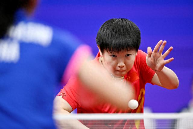 照猫画虎只 照猫画虎只